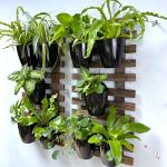 LaLaGreen 10-Pack Self-Watering Wall Planters