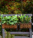 Black Metal Hanging Flower Rack for Gardens