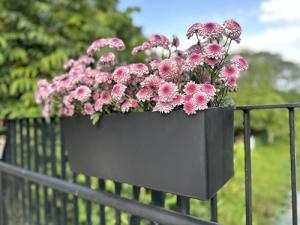 LaLaGreen 20 Inch Railing Planter Box Set