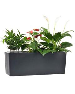 Self-Watering Planter Pot for Indoor and Outdoor