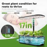 Indoor Hydroponics Herb Garden Kit with Grow Light