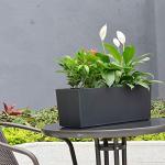Self-Watering Planter Pot for Indoor and Outdoor