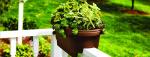 24" Terra Cotta Balcony Rail Planter by Bloem