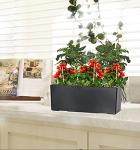 Self-Watering Planter Pot for Indoor and Outdoor