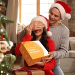 Electric Heated Hand Warmer Pouch with Power Bank