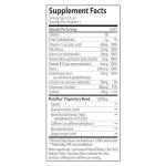 CELSIUS NFL Variety Pack Energy Drinks, 12-Pack