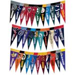 NFL Mini Pennant Set for Every Team