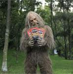 Peppered Beef Steak Protein Snacks - 12 Count