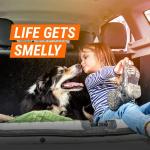 Armor All Car Air Purifier & Odor Eliminator