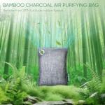 Bamboo Charcoal Air Purifying Bags - 10 Pack