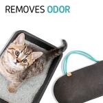 PURGGO Car Air Freshener - 365 Days Natural Odor Eliminator