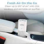 Portable True HEPA Air Purifier for Home & Car