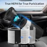 QUEENTY Portable Car Air Purifier with HEPA Filter