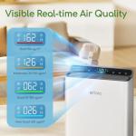 Large Room Air Purifier for Allergies and Odors