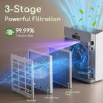 Large Room Air Purifier for Allergies and Odors