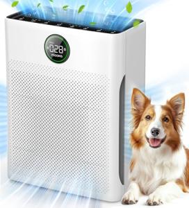 Large Room Air Purifier for Homes and Pets