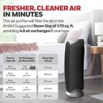 Honeywell QuietClean Air Purifier for Medium Rooms
