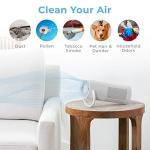 Portable True HEPA Air Purifier for Home & Car