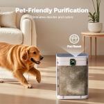 T554 Air Purifier for Home up to 2000 Ft²