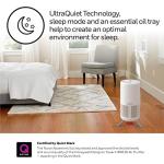 Honeywell HEPA Air Purifier for Large Rooms