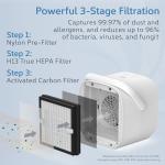 Pure Enrichment PureZone DUO Tabletop Air Purifier