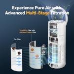 RoneAir Cordless HEPA Car Air Purifier