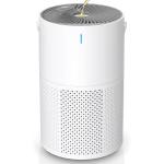 Large Room Air Purifier with True HEPA Filter
