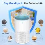 Large Room Air Purifier with True HEPA Filter