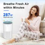 Large Room Air Purifier with True HEPA Filter
