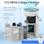 Large Room Air Purifier with True HEPA Filter
