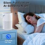 Large Room Air Purifier with True HEPA Filter