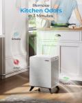 LUFTRUM Large Room Air Purifier for Smoke & Allergies