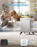 LUFTRUM Large Room Air Purifier for Smoke & Allergies
