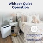 Rabbit Air A3 SPA-1000N Ultra Quiet HEPA Purifier