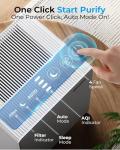 LUFTRUM Large Room Air Purifier for Smoke & Allergies