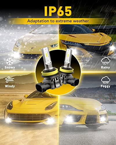 AUXITO H11/H8/H16 LED Fog Light Bulbs - 6000 Lumens