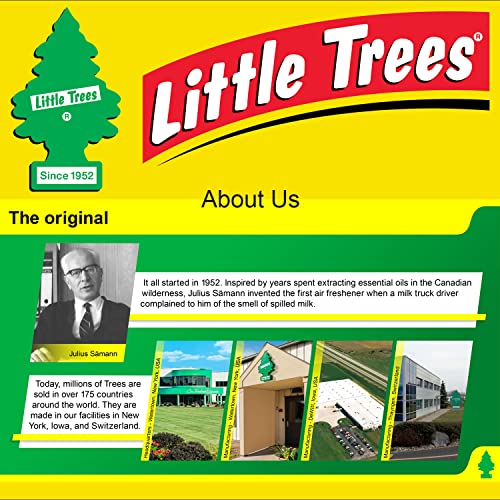 Black Ice Little Trees Car Freshener 10-Pack
