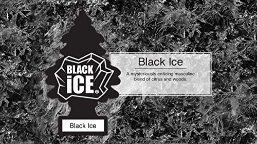 Black Ice Little Trees Car Freshener 10-Pack