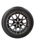 Crossmax 205/55R16 CT-1 Performance Tire