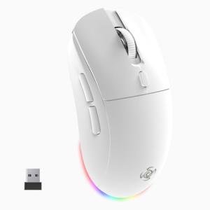 LORERAN Wireless Gaming Mouse, Tri-Mode 2.4G/USB-C/Bluetooth Rechargeable Mouse with Colorful RGB Lights, 4800DPI Optical Sensor, 6 Buttons, Ergonomic Mouse Gaming for PC, Laptop, Mac
