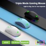 LORERAN Wireless Gaming Mouse, Tri-Mode 2.4G/USB-C/Bluetooth Rechargeable Mouse with Colorful RGB Lights, 4800DPI Optical Sensor, 6 Buttons, Ergonomic Mouse Gaming for PC, Laptop, Mac