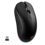 LORERAN Wireless Gaming Mouse, Tri-Mode 2.4G/USB-C/Bluetooth Rechargeable Mouse with Colorful RGB Lights, 4800DPI Optical Sensor, 6 Buttons, Ergonomic Mouse Gaming for PC, Laptop, Mac