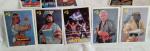 Vintage 1990 WWF Hulk Hogan Collector Cards