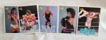 Vintage 1990 WWF Hulk Hogan Collector Cards