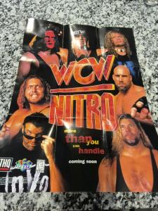 Hulk Hogan WCW/nWo Revenge N64 Poster