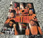 Hulk Hogan WCW/nWo Revenge N64 Poster