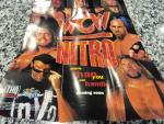 Hulk Hogan WCW/nWo Revenge N64 Poster