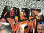 Hulk Hogan WCW/nWo Revenge N64 Poster