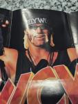 Hulk Hogan WCW/nWo Revenge N64 Poster