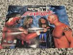 Hulk Hogan WCW/nWo Revenge N64 Poster